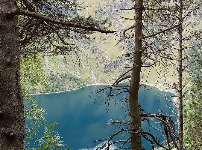 아파트 De Riviere 